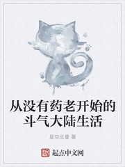 从没有药老开始的斗气大陆生活