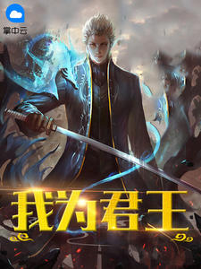 我为君王叶天何婉君