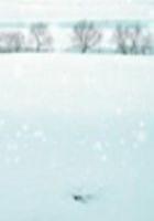 豪门婚约：总裁虐我千百遍