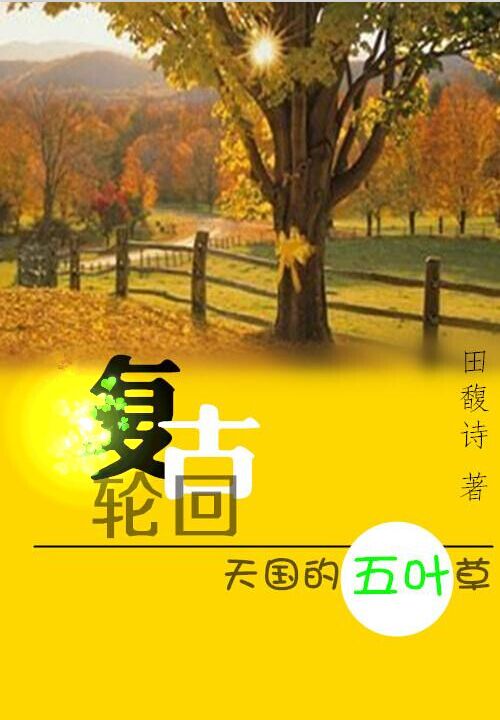 为你半生痴迷小说