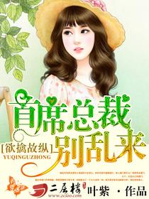 摄政王的医品狂妃夏子安免费