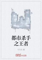 都市杀手之王者