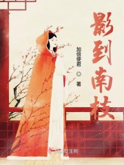 影到南枝