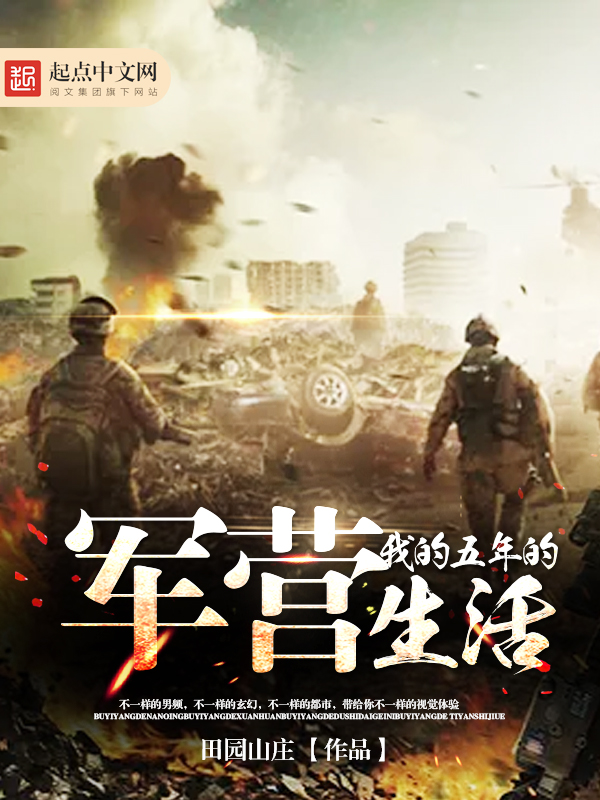 宋妍陆晏沉小说