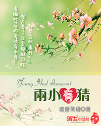 点金圣手小说目录