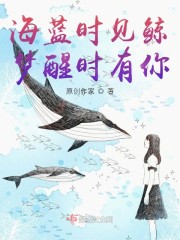 海蓝时见鲸梦醒时有你