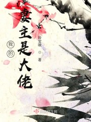 我的妻主是大佬
