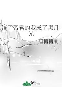 渣了帝君的我成了黑月光