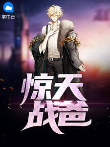 惊天战爸码字小白