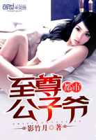 都市至尊公子爷