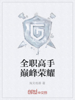 全职高手——巅峰荣耀