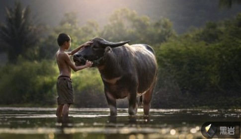 袁潜醒的短篇小说集