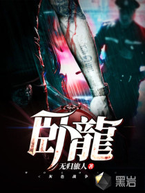 卧龙之灰色战争