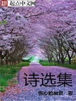 诗选集
