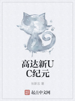 高达新UC纪元