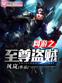 网游之至尊盗贼