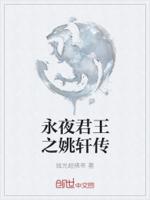永夜君王之姚轩传