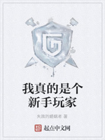 我真的是个新手玩家